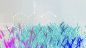 Bioenergy-Symbols-1024x575