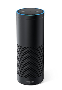 Amazon Echo has been chosen by Hermes to help with its tracking.