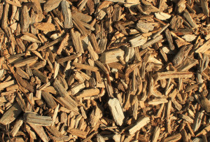 Gfp-wood-chips