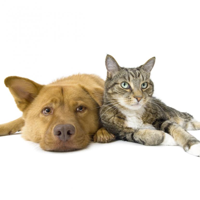 Logistics Manager Magazine