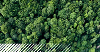 Zencargo partners with Pledge to offer CO2 visibility across shipments