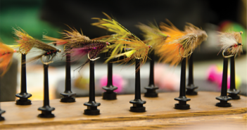 Descartes e-commerce WMS helps Fishing & Bait scale fulfilment by 250%