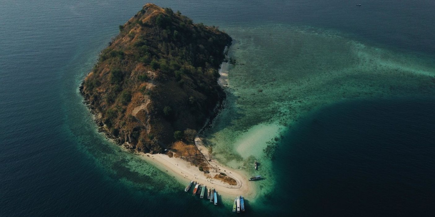 World Economic Forum launches ocean management initiative ahead of G20 summit - Vimarsana News