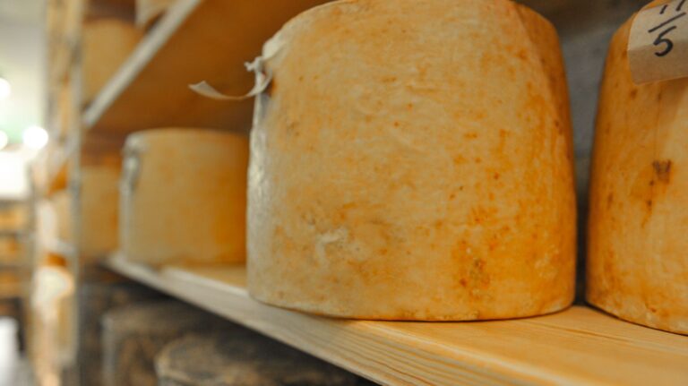 British agri‑food attachés unlock £100m of export opportunities British food