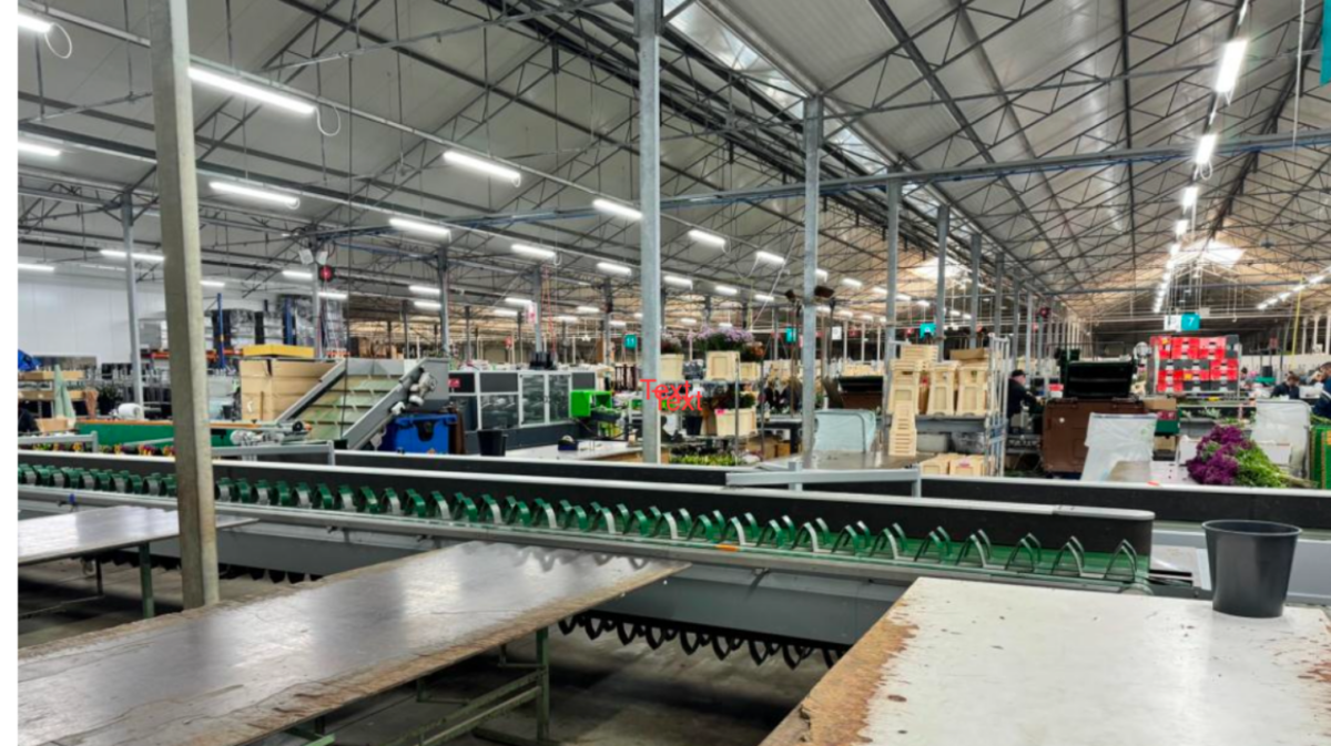 Bowery and King Street Capital complete Aalsmeer-based logistics acquisitions